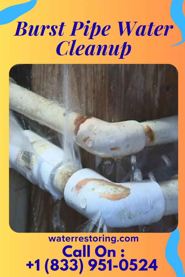 Burst Pipe Water Cleanup in Lester Prairie, MN