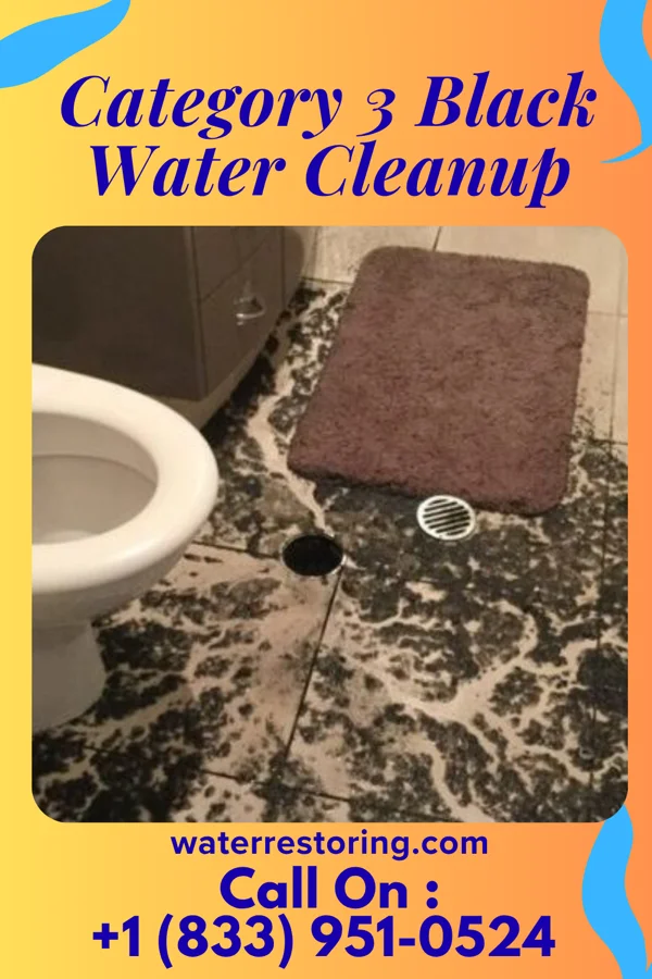Category 3 Black Water Cleanup in Lester Prairie, MN