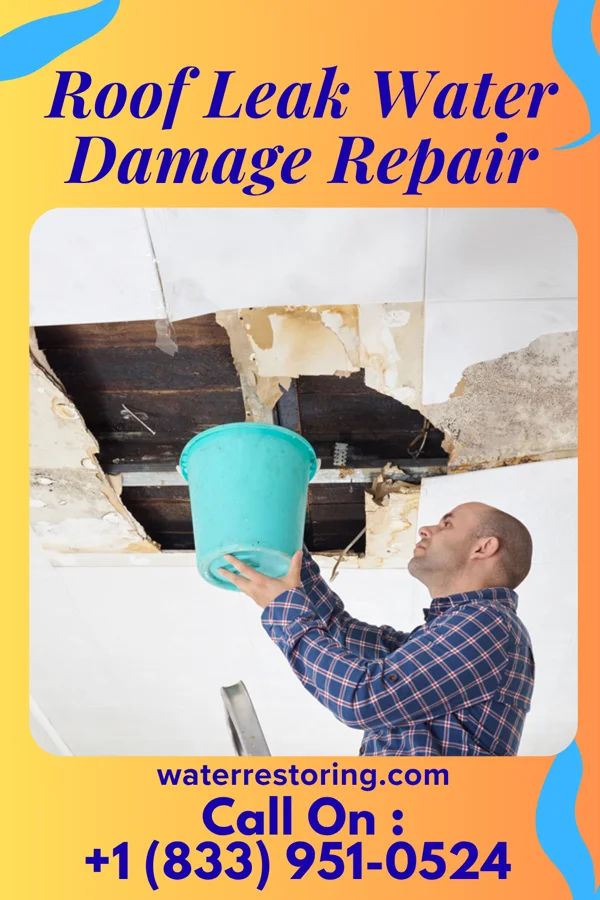 Roof Leak Water Damage Repair in Lester Prairie, MN