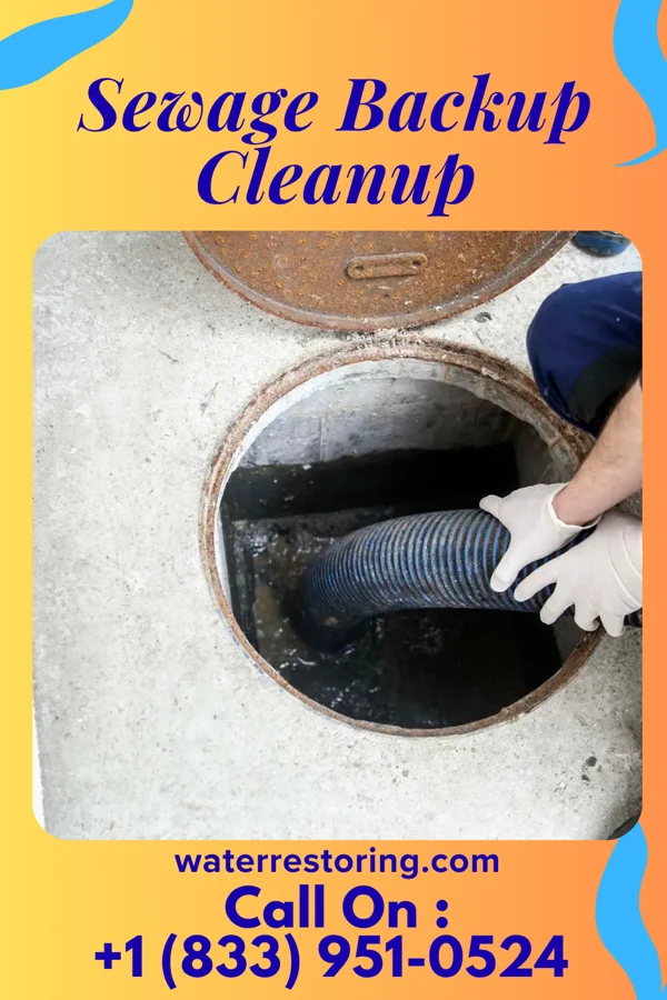 Sewage Backup Cleanup in Lester Prairie, MN