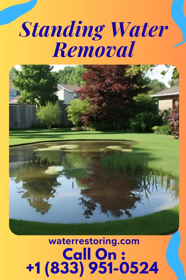 Standing Water Removal in Lester Prairie, MN